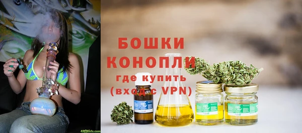 соль ск Белокуриха