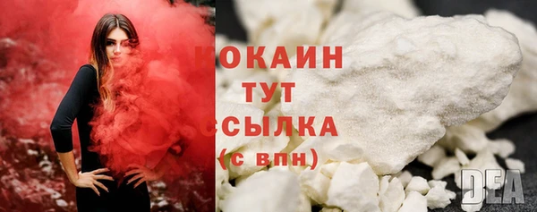 соль ск Белокуриха