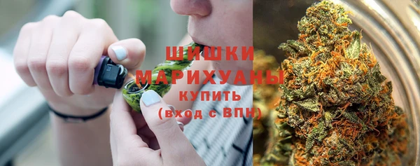 соль ск Белокуриха