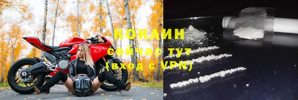 соль ск Белокуриха