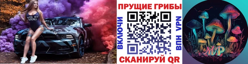 Галлюциногенные грибы Psilocybe  Реутов 