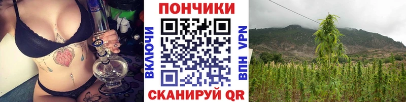 Канабис Ganja  где купить наркоту  Реутов 